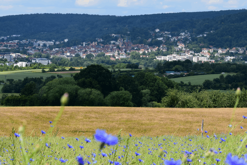 Blick auf Gelnhausen und die Marienkirche von der Geisbergschule aus